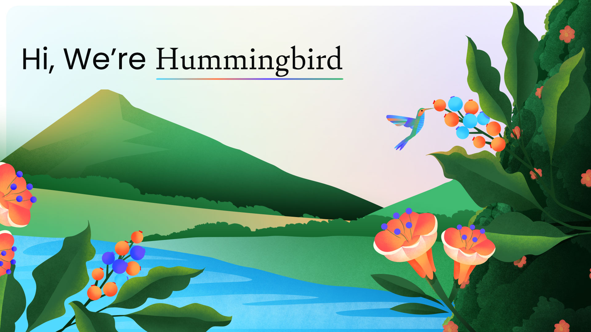 Hummingbird Healthcare