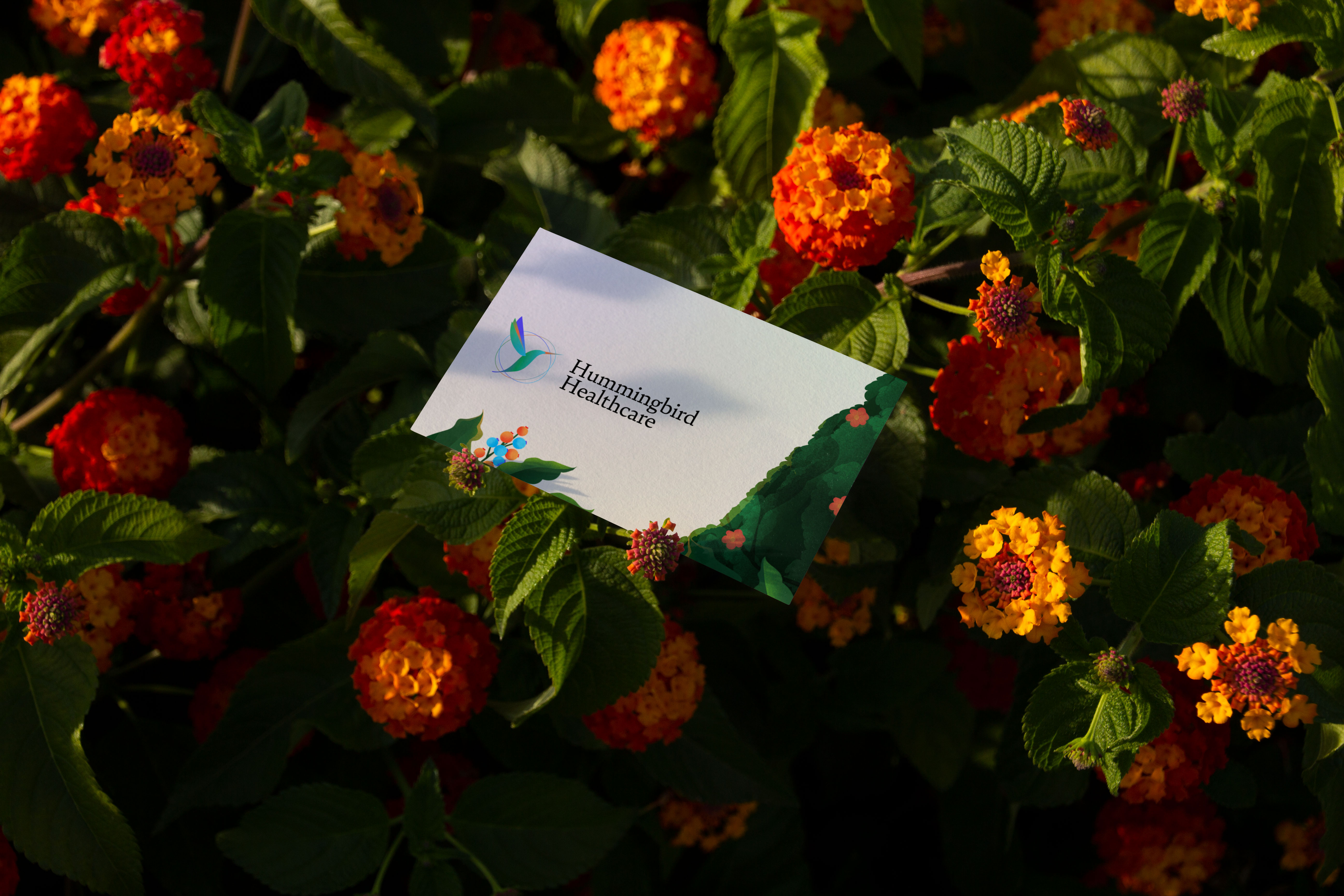 Hummingbird Healthcare