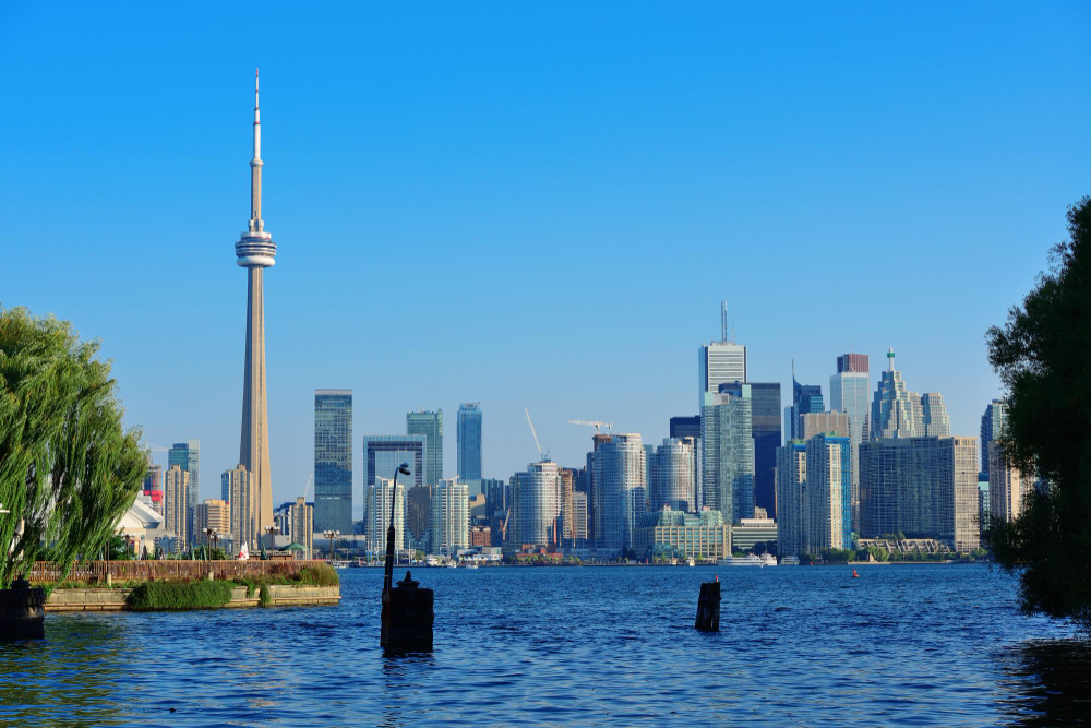 Transform Your Brand With Top Logo Designers in Toronto